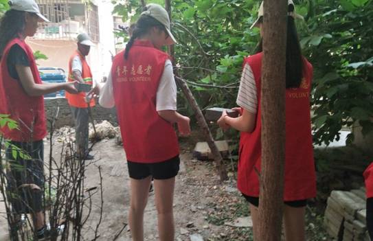 QQ图片20190626193431